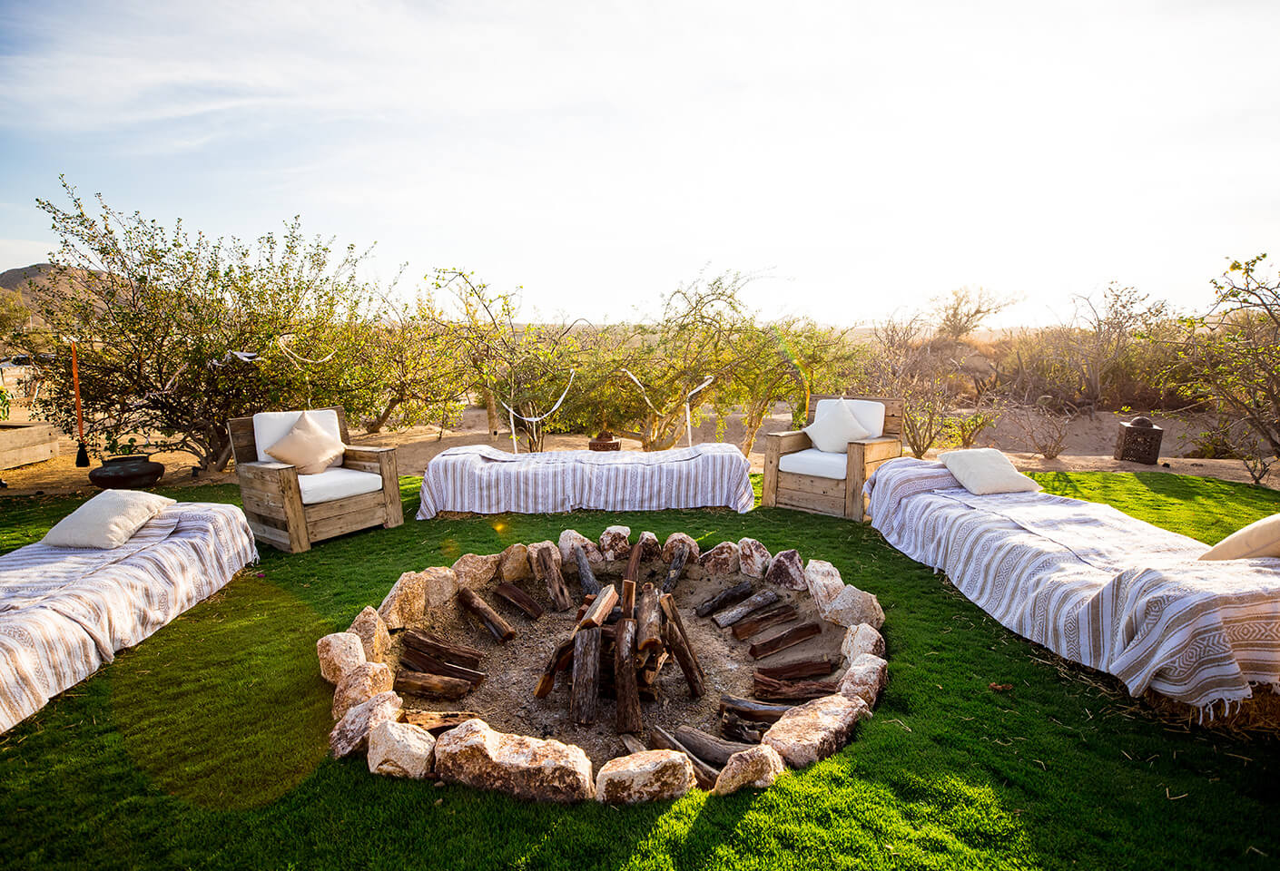 2024 decor trends organic vibes